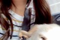 大型犬パピーを飼っ…の画像