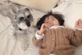 犬が1歳児の『育児サ…の画像