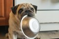 犬の食器のぬめりを…の画像