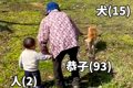 93歳のおばあちゃん…の画像