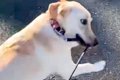 『すっげぇ顔ｗｗ』…の画像