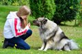 犬にしつけをしない…の画像