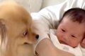 『生まれて４日赤ち…の画像