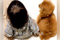 ４年間『女の子の幼…の画像
