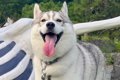 ガイコツと記念写真…の画像