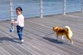 3歳の女の子が海に近…の画像