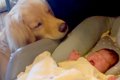 妊娠中のお母さんに…の画像