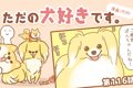 ただの犬好きです。…の画像