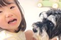 犬が『子どもとのお…の画像