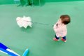 1歳の女の子が『犬の…の画像