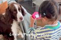 小さな女の子が『犬…の画像