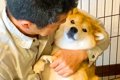 犬が『2日間出張に出…の画像