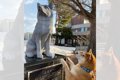 犬と忠犬の像を見に…の画像
