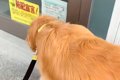 『床屋のおじいちゃ…の画像