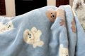 実家に犬を預けた結…の画像