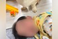 男の子が犬の前で寝…の画像