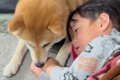 2歳の男の子が高熱に…の画像