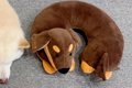 犬型のネックピロー…の画像