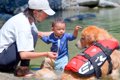 犬と赤ちゃんが『一…の画像