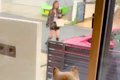 3週間ぶりに『実家の…の画像