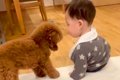 ガチで仲良しな『ト…の画像