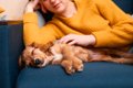 犬が安心する『飼い…の画像