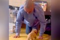 犬を飼うことに反対…の画像