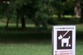 犬が外出時に『うん…の画像