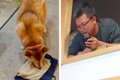 帰省してきた兄→犬に…の画像