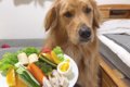 愛犬の食べ物の好き…の画像