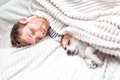 犬は飼い主の安眠の…の画像