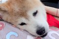 自力で歩けなくなっ…の画像