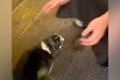 お兄さんが『近づい…の画像