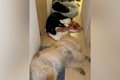 夜、トイレに行こう…の画像