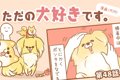 ただの犬好きです。…の画像