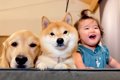 1歳の女の子が『謎の…の画像