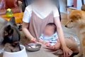 0歳児と2匹の犬と過…の画像