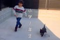 女の子と犬が小学校…の画像