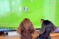 テレビでサッカーワ…の画像