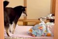 寝ている赤ちゃんの…の画像
