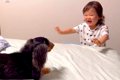 1歳の女の子が『犬と…の画像