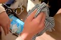 犬が『パパのパンツ…の画像