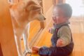 犬の目の前で『赤ち…の画像