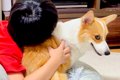 男の子に『くさい』…の画像