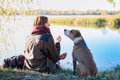 犬を安心させる飼い…の画像