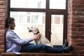 犬に『気持ちを伝え…の画像