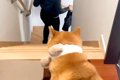 妻に頼まれ『お見送…の画像