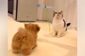 赤ちゃんの頃から『3…の画像