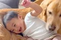 小さな男の子が大型…の画像