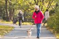 犬の散歩に関連した…の画像